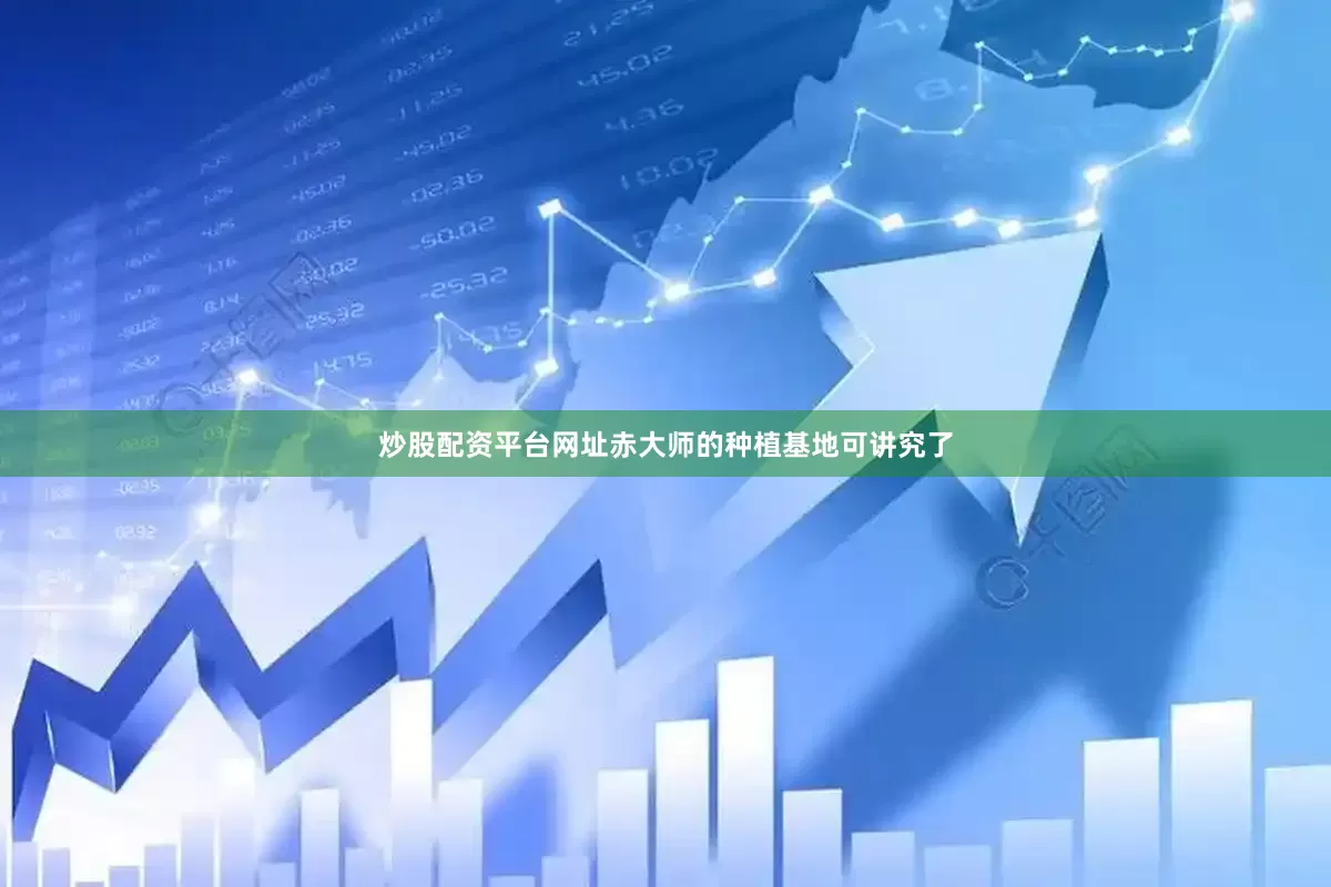 炒股配资平台网址赤大师的种植基地可讲究了